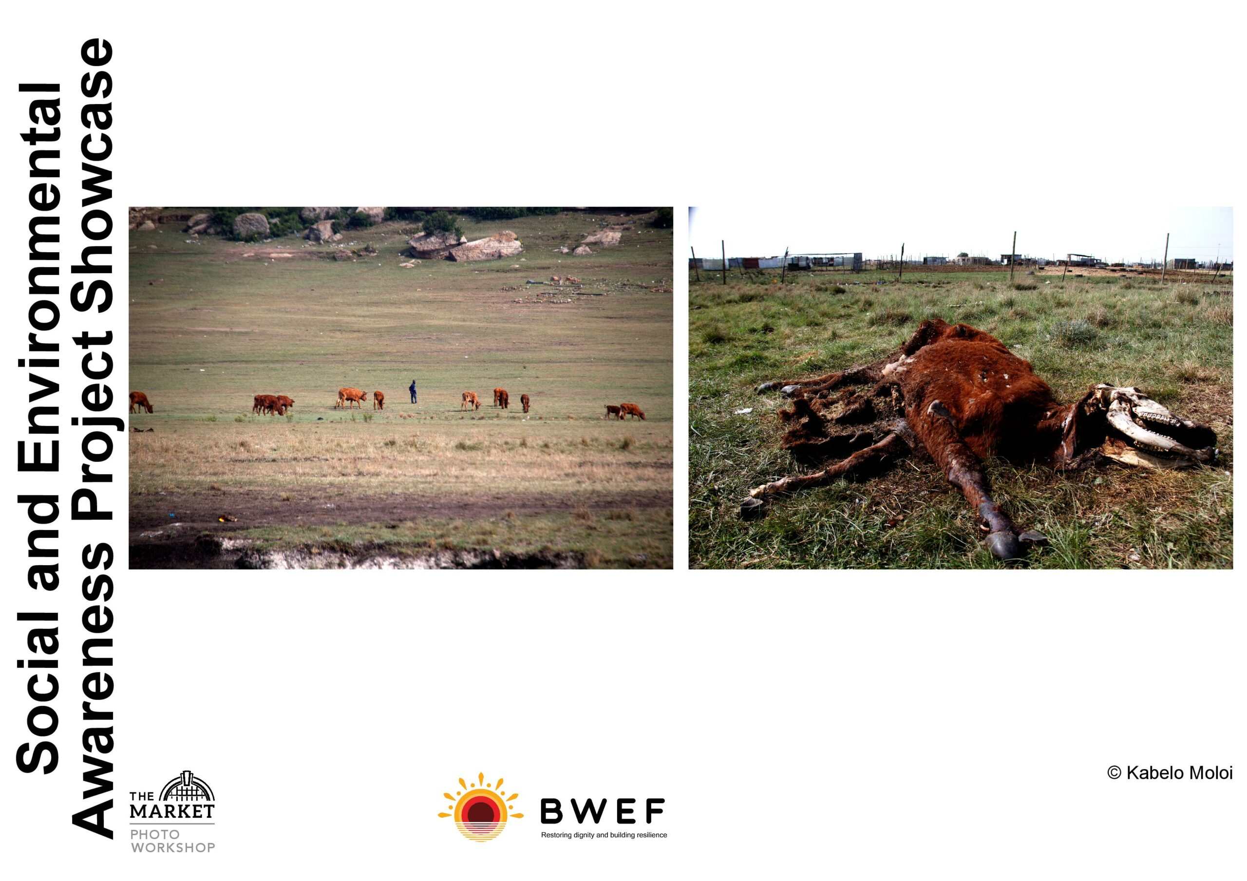 © Kabelo Moloi 1-page-001